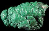 Polished Malachite Brain - Congo #63352-1